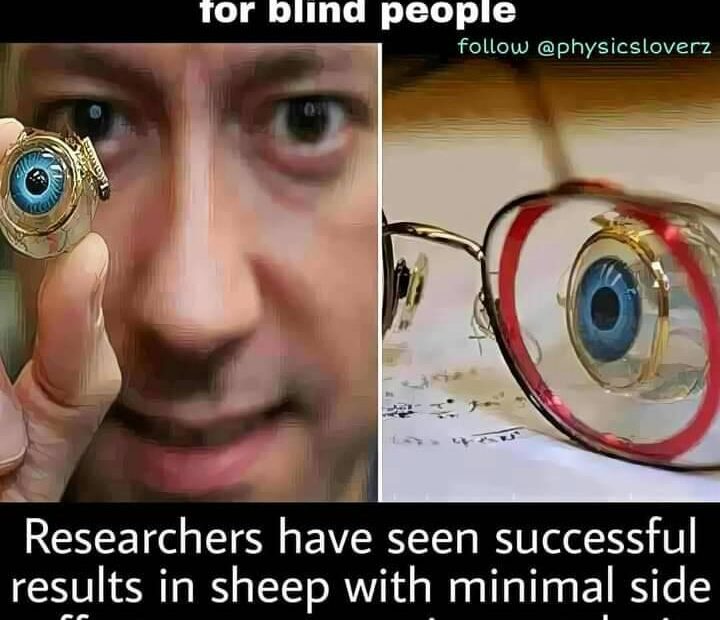 Eye which can fully restore vision for blind people.