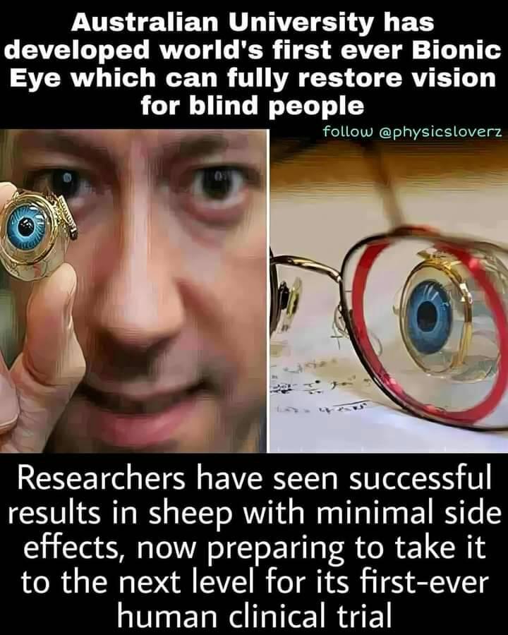 Eye which can fully restore vision for blind people.